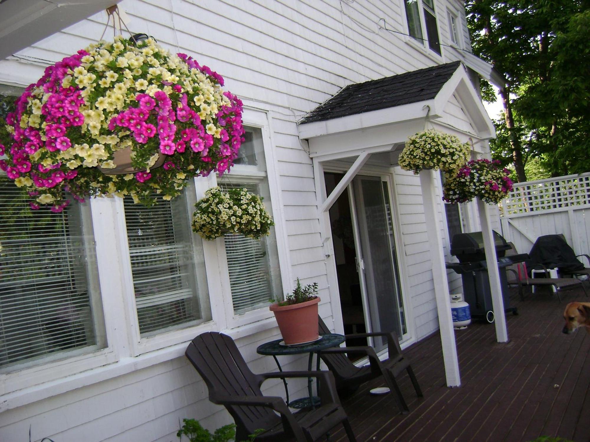 Lakelawn B&B&Motel Yarmouth Buitenkant foto